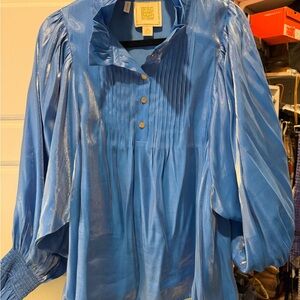 Shimmery Blue Blouse with Balloon Sleeves - Women's Emily McCarthy Charlotte
